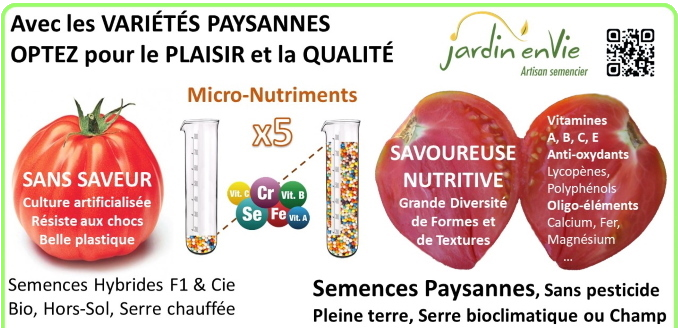 Les tomates issues des semences paysannes, cultivées en plein champ, sont savoureuses
						car elles ont 5 fois plus de micro-nutiments que les tomates bio cultivées en hors-sol sous serre chauffée.
						Au lieu d'une culture uniformisée et artificialisée, les Variétés Paysannes sont cultivées
						en pleine terre. Ainsi, et par la richesse de leur patrimoine génétique, elles offrent:
						des saveurs intenses et variées,
						une grande diversité	de formes et de textures.