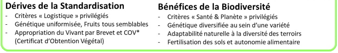 Les dérives de la standardisation et d'une culture artificialisée 
						ont conduit à privilégier des critères logistiques d'uniformasation et de résistance aux chocs
						au détriment du goût et de la qualité nutritive des produits.
						Au contraire, avec les Variétés Paysannes, on bénéficie des atouts de la biodiversité
						pour produire une nourriture plus nutritive et plus saine pour nous et la planète.
						En préservant et favorisant la richesse génétique au sein d'une même variété, les plantes ont tout le potentiel nécessaire
						pour s'adapter aux différents terroirs et aux évolutions climatiques.