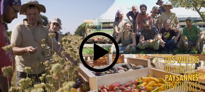 Vidéo Jardin'enVie - Comprendre les Variétés Paysannes et la Co-évolution du Vivant