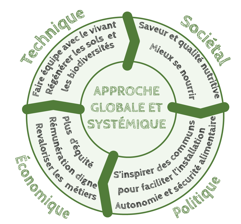 approche globale systemiqueAPE
