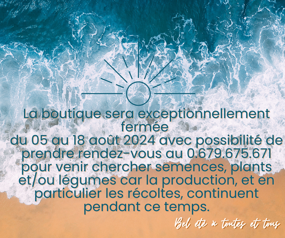 En t chaque rayon de soleil est une invitation la libert et laventure illuminant nos journes de chaleur et de joie