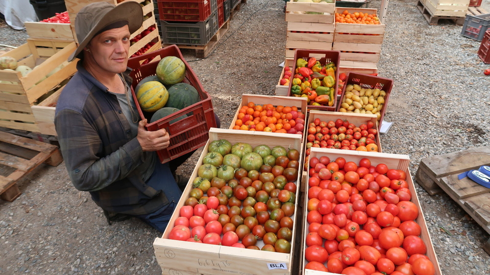 la tomate offre une tres grande diversite de saveurs de couleurs de formes d usage ici eric marchand qui avec valerie peyret est l initiateur de jardin envie photo le dl frederique fays 1694275245