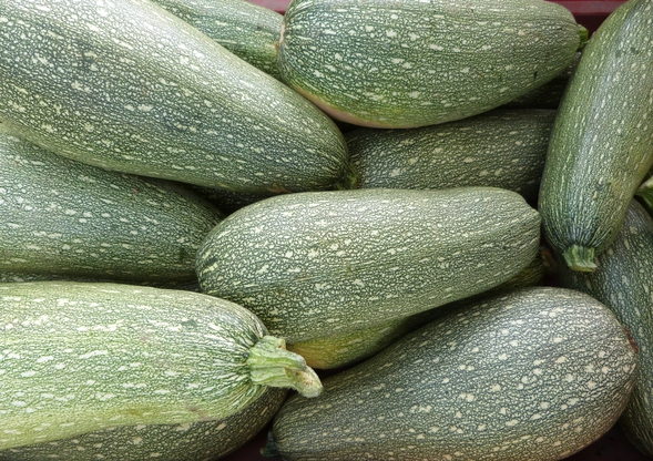 courgette col coutor