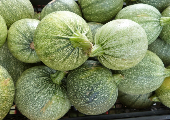 courgette col coutor