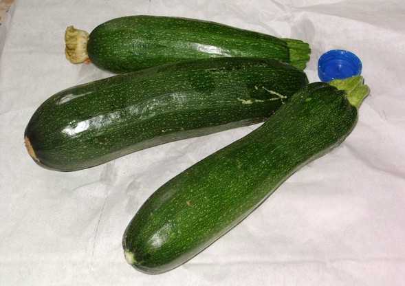 courgette col coutor
