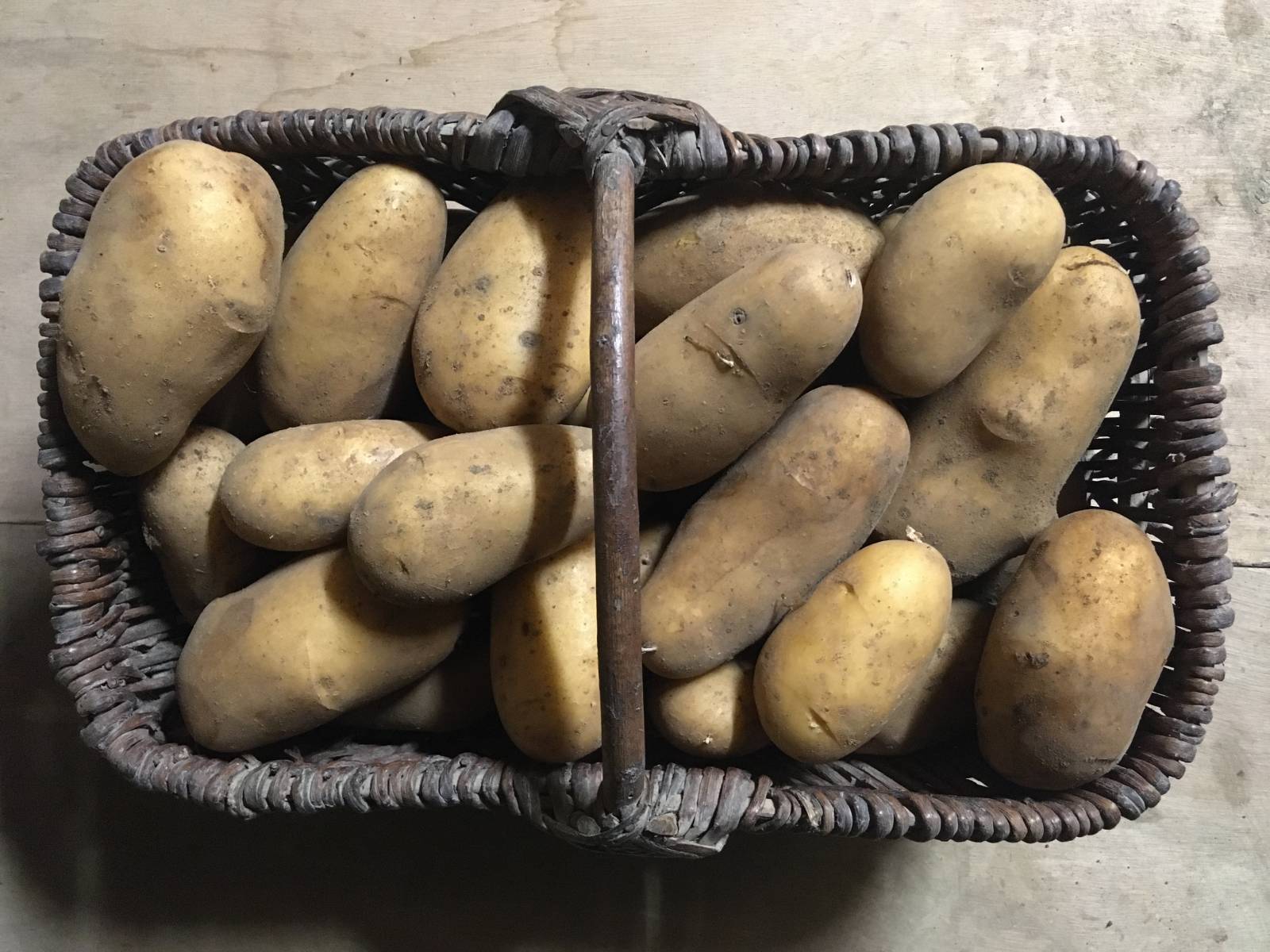 pomme de terre chair ferme