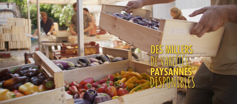 des légumes plein les bras