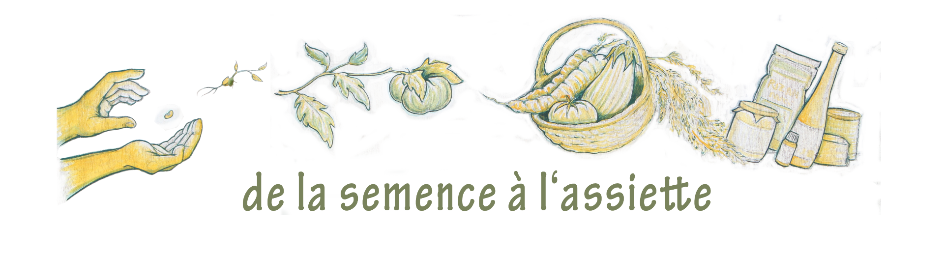 de la semence à l'assiette